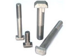 T Bolt